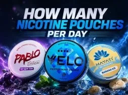 How Many Nicotine Pouches Per Day What You Need to Know Now