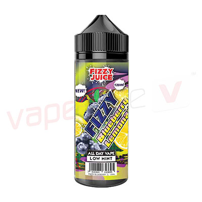 Fizzy Blueberry Lemonade by Fizzy Juice