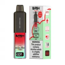 Bash Echo Pro 10000 Puffs Prefilled Pod Kit