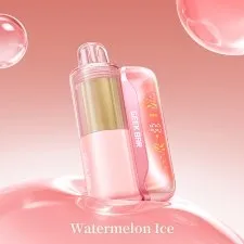 Geek Bar Mate 60K Prefilled Vape Kit