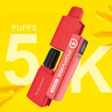 Geekvape Popvibe V5000  Prefilled Vape kit