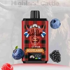 Hayati Pro Ultra+ 25K Puffs Souvenir Edition (Scotland) Vape Kit