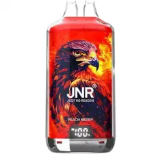 Pre Order: JNR Falcon X Plus 28000 Puffs Prefilled Kit