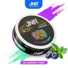 JNR Nicotine Pouches 25mg