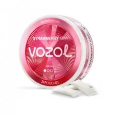 Vozol Nicotine Pouches – Smooth, Fast-Acting, Flavourful