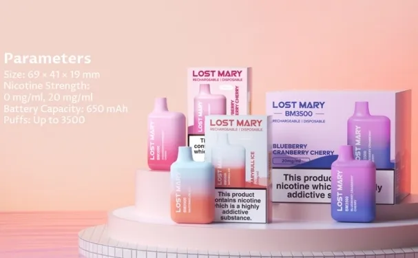 lost mary bm3500 review