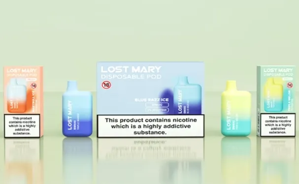 lost mary bm600 review